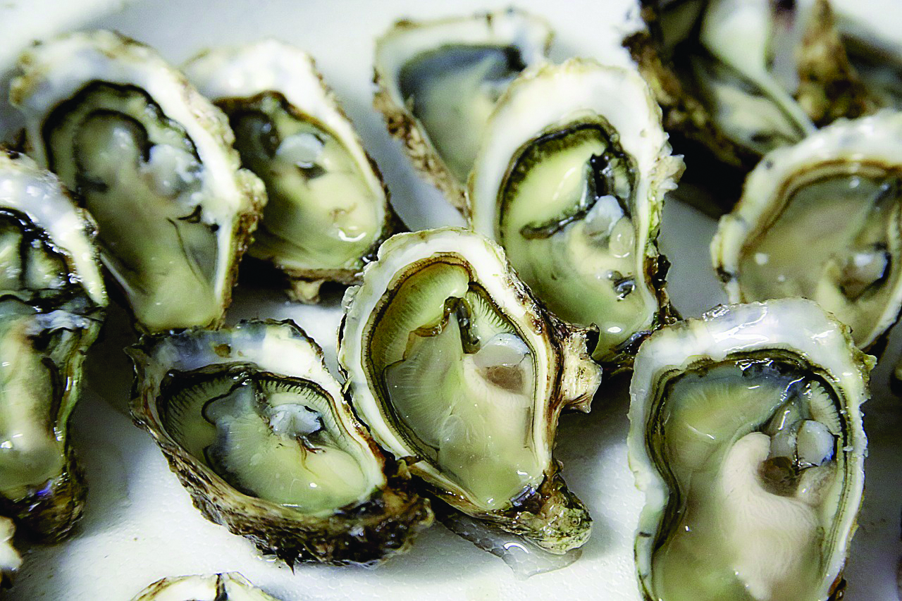 8 out 0f 10 oysters eaten in France come from Normandy