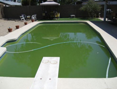 Treating A Green Pool In France